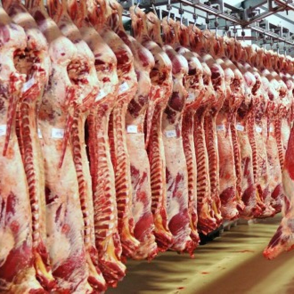 أسعار اللحوم التشادية والمستوردة والبلدية اليوم الأحد 19-3-2023