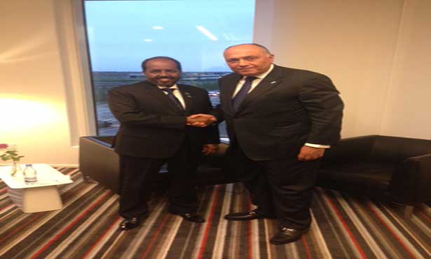شكري :مصر مستعدة للتعاون مع كل الأطراف لدعم الصومال