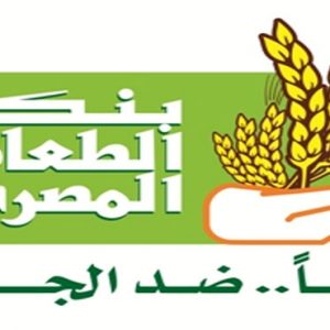 الرئيس التنفيذي لبنك الطعام : إرسال 309 شاحنات بإجمالي 4635 طناً  من المواد الغذائية إلي غزة