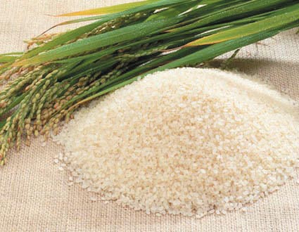 «التموين» تتسلم 16 ألف  طن أرز من الشركات