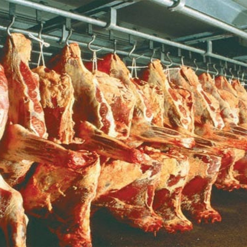 ارتفاع «السولار» يعصف بسوق اللحوم بالإسكندرية