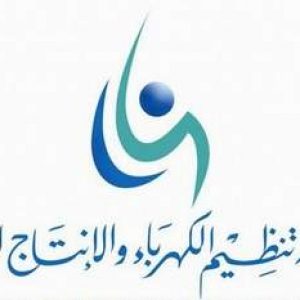 هيئة الكهرباء السعودية: انتهاء الربط الكهربي بين المملكة ومصر قريبا