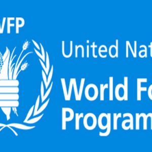 مدير برنامج الأمم المتحدة للغذاء: معدلات الجوع ارتفعت بسبب الصراعات وتغير المناخ