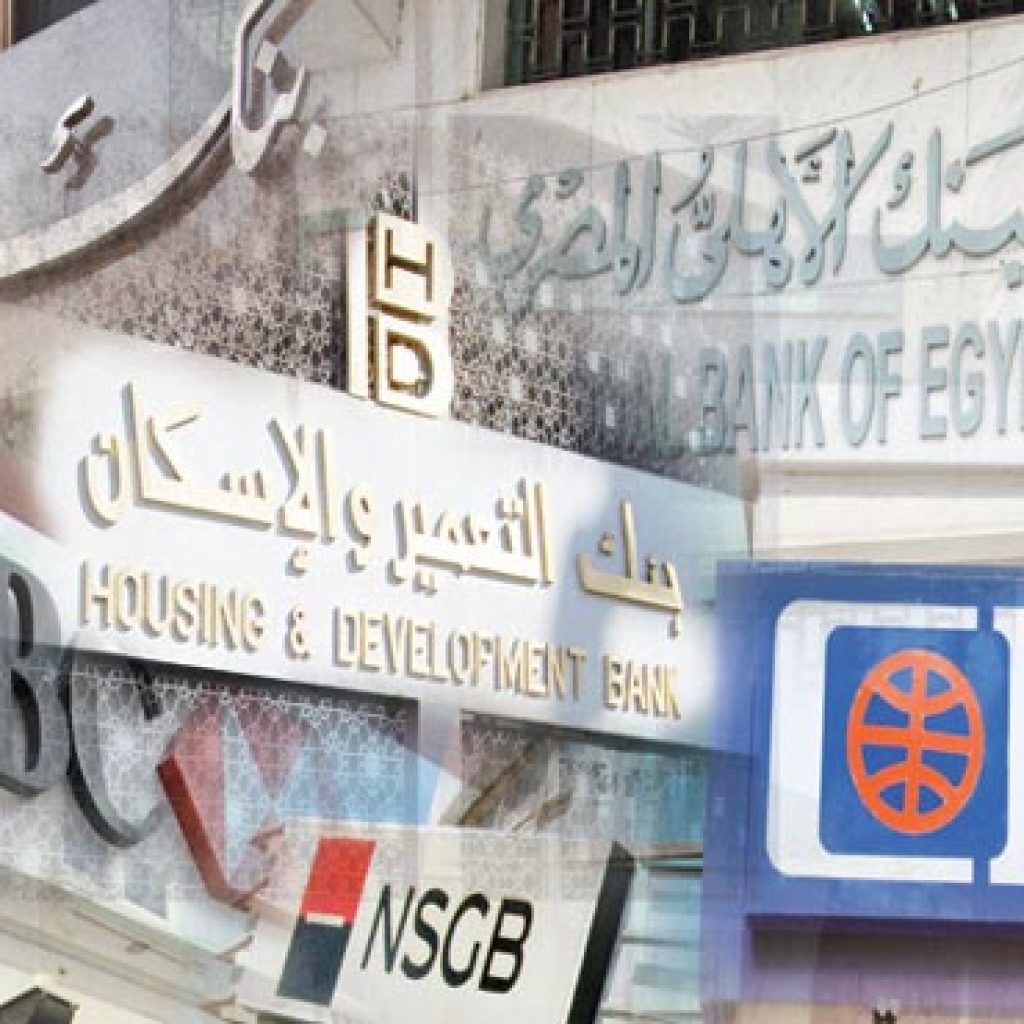 علوي تيمور: الحكومة غير جدية في تعاملها مع بنوك الاستثمار