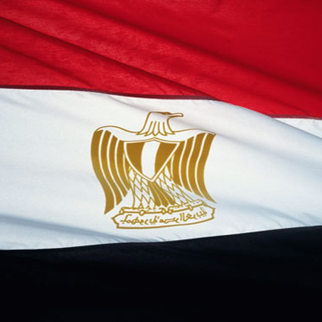 مصر تؤكد لبريطانيا التزامها بمعايير حماية حقوق الإنسان