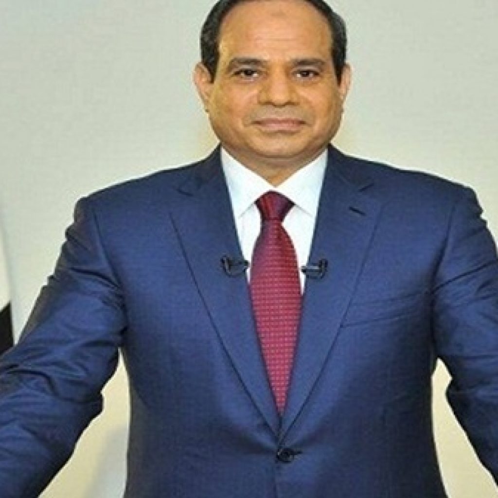 السيسي يستعرض آفاق الاستثمار بمصر