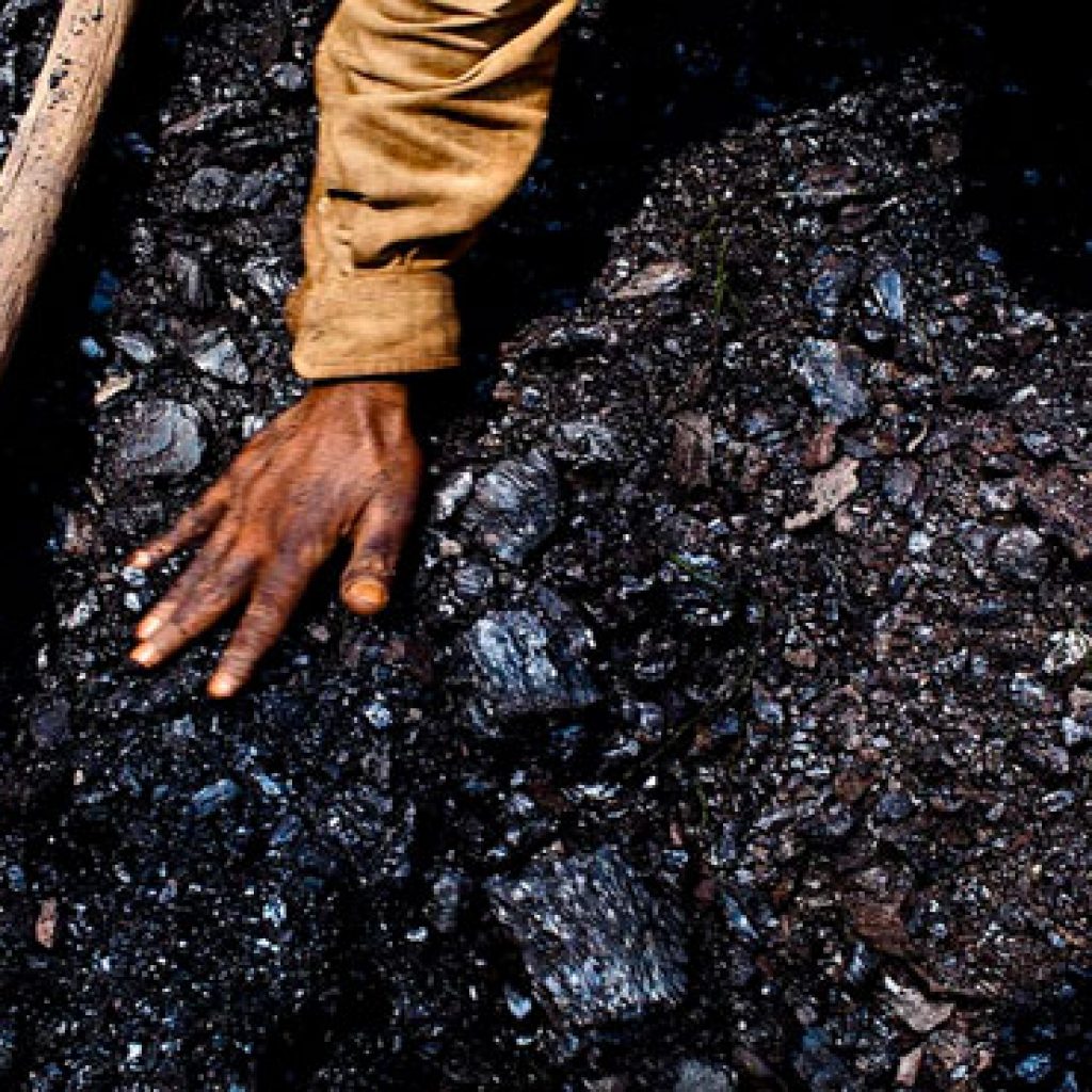 «سيسكو ترانس» تقتحم نشاط الفحم بـ«الدخيلة»