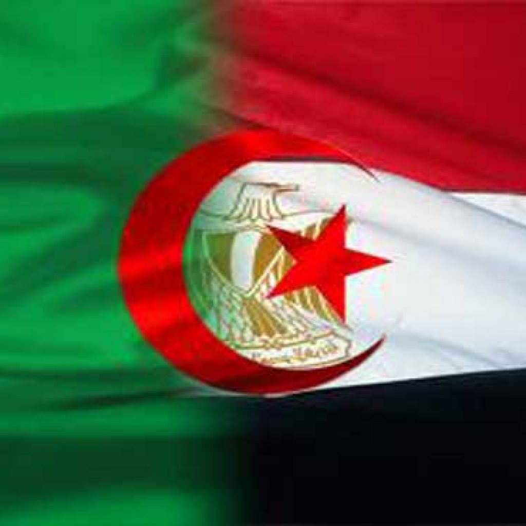 الخارجية: إنشاء آلية بين مصر والجزائر للتنسيق الأمني
