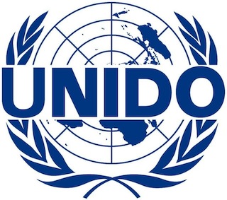 «يونيدو» تثمن دور الشراكات مع القطاع الخاص لتحقيق التنمية المستدامة
