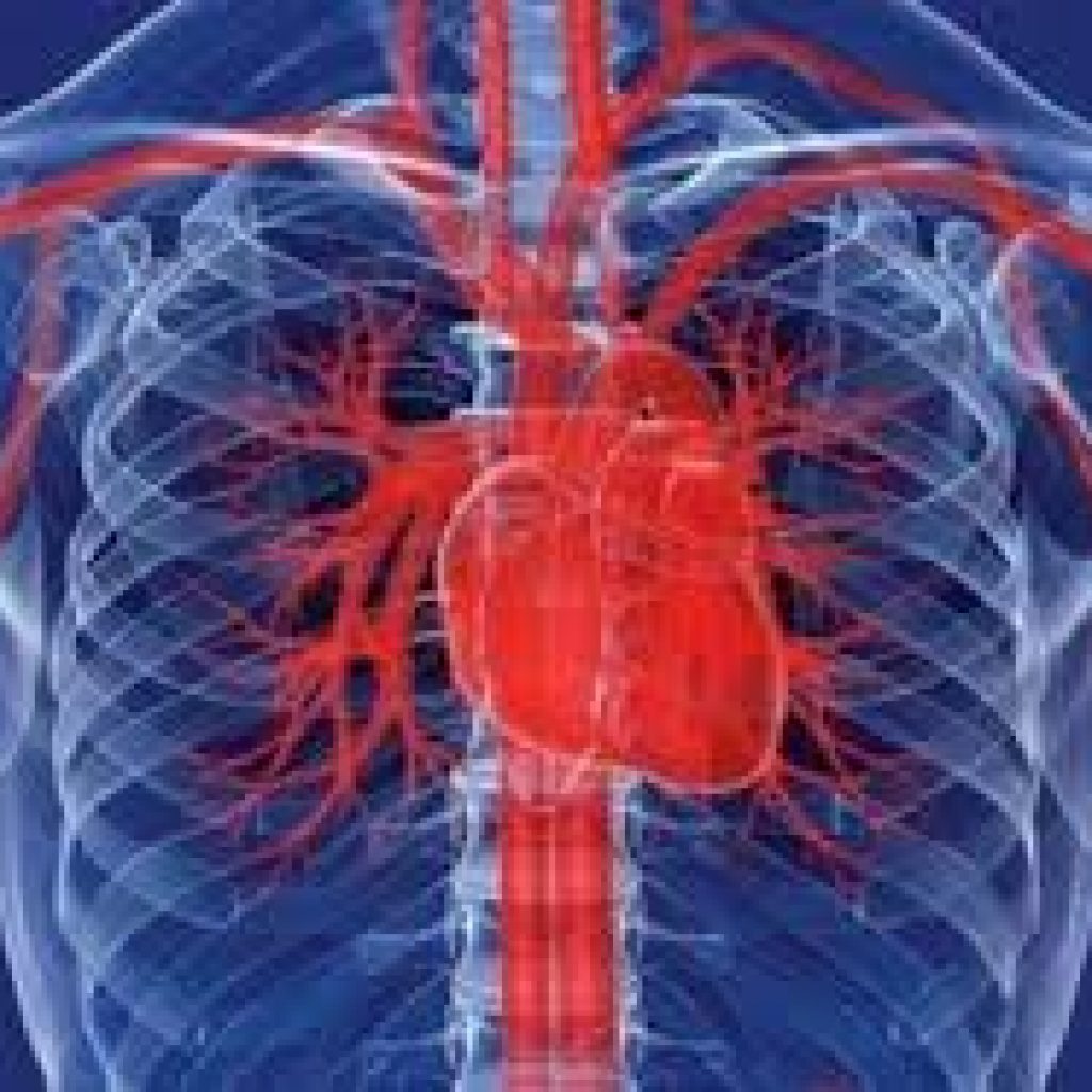 جهاز يساعد القلب على العمل بكفاءة أعلى