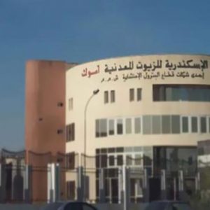 701 مليون جنيه أرباح  آموك  للعام المالي المنتهي