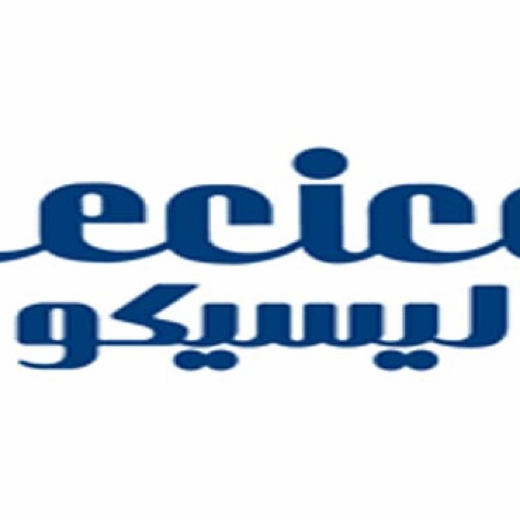 أرباح «ليسكو مصر» تقفز 171% خلال الربع الأول إلى 90.5 مليون جنيه