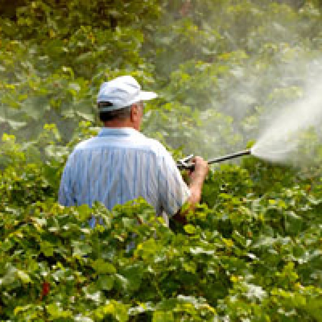 "مبيدات الآفات": جملة مستلزمات الإنتاج الزراعي 20 مليار جنيه مصري
