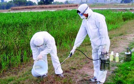 تعرف على الآثار الإيجابية لمهنة مطبقي المبيدات على القطاع الزراعي
