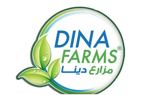 مزارع دينا: ننتج 80 ألف طن حليب طازج سنويا