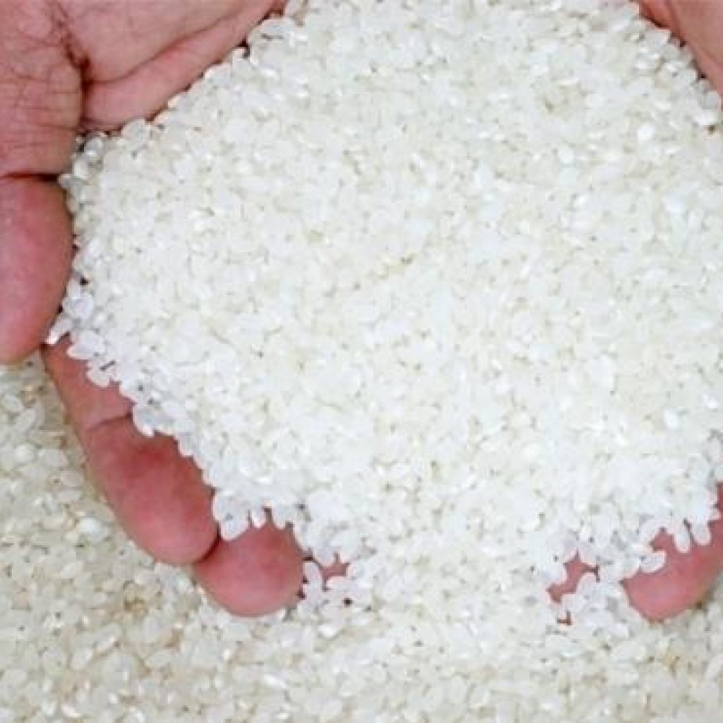 ميناء دمياط يستقبل أكثر من 5 آلاف طن أرز