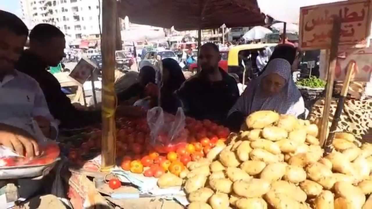الشتاء يوقف حركة البيع والشراء في أسواق الإسكندرية