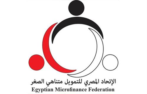 الاتحاد المصري للتمويل متناهي الصغر ينجح في عقد جمعيته العامة إلكترونياً