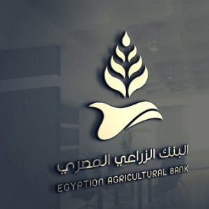 رئيس مجلس إدارة البنك: «الزراعي المصري» يعد استراتيجية عمل جديدة تمتد حتى 2023