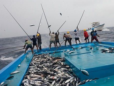 البرلمان يناقش زيادة الإنتاج السمكي بمصر
