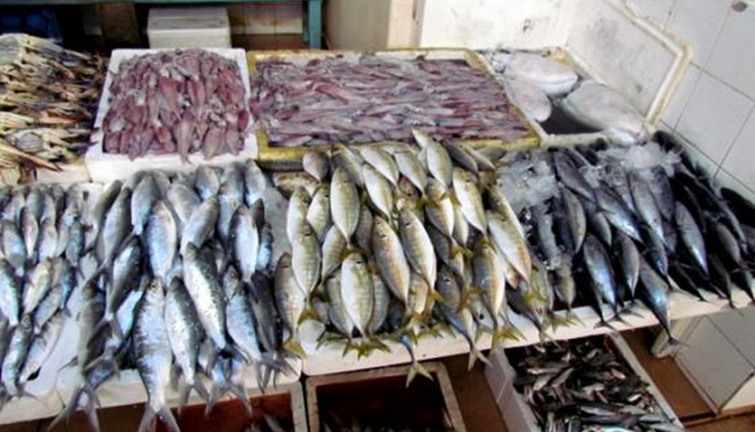 أسعار السمك في 20 شهرًا.. «البوري» يتراجع 5.84 جنيه و«المكرونة» ترتفع 35.31