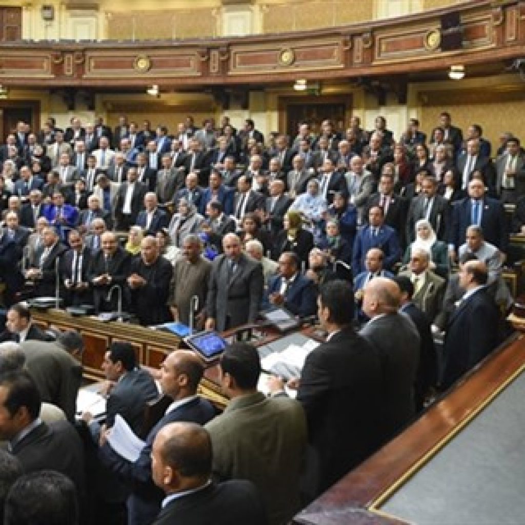تضامن النواب: القضية السكانية أخطر على مصر من الإرهاب