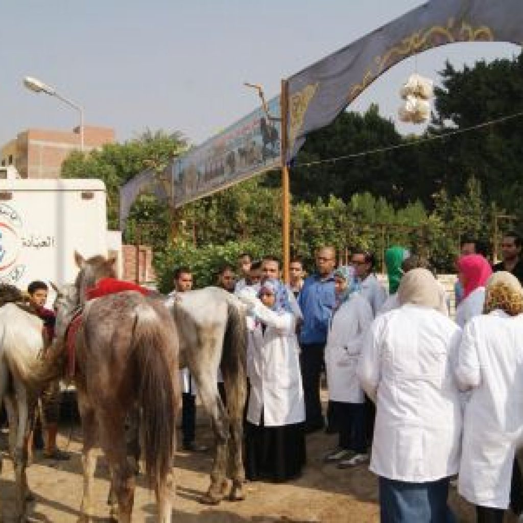 معهد بحوث الصحة الحيوانية ينظم قافلة بيطرية مجانية لمحافظة كفر الشيخ