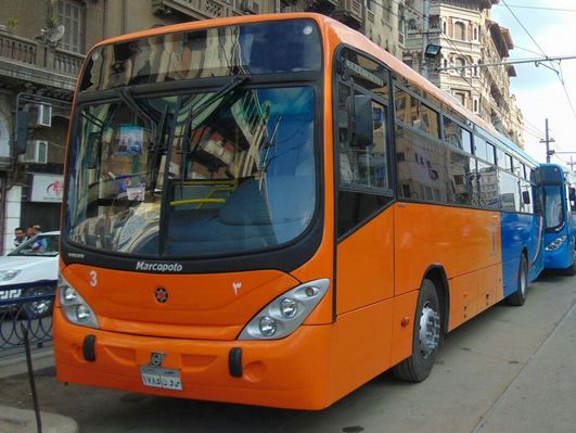 هيئة النقل العام بالإسكندرية تستقبل 14 حافلة كهربائية