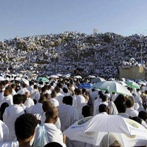 «التضامن»: تفويج 916 حاجا إلى مكة المكرمة.. غدا