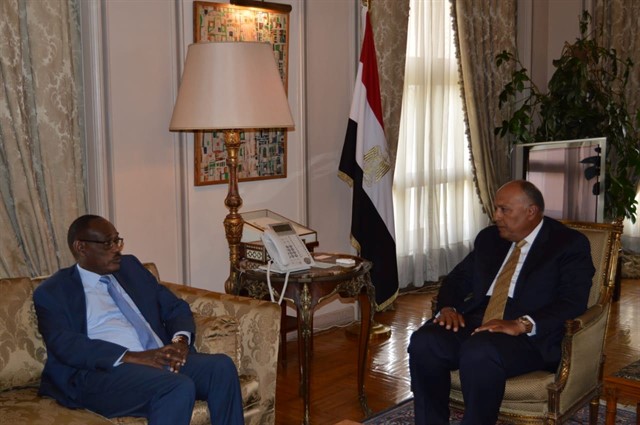 وزير الخارجية: العلاقات مع السودان مقدسة ولها خصوصية