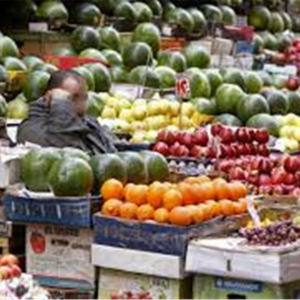 طموحات زيادة صادرات الفواكه تفتح شهية الخطوط الملاحية