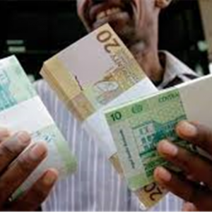 السودان يخفض سعر صرف الدولار الجمركي من 18 إلى 15 جنيها