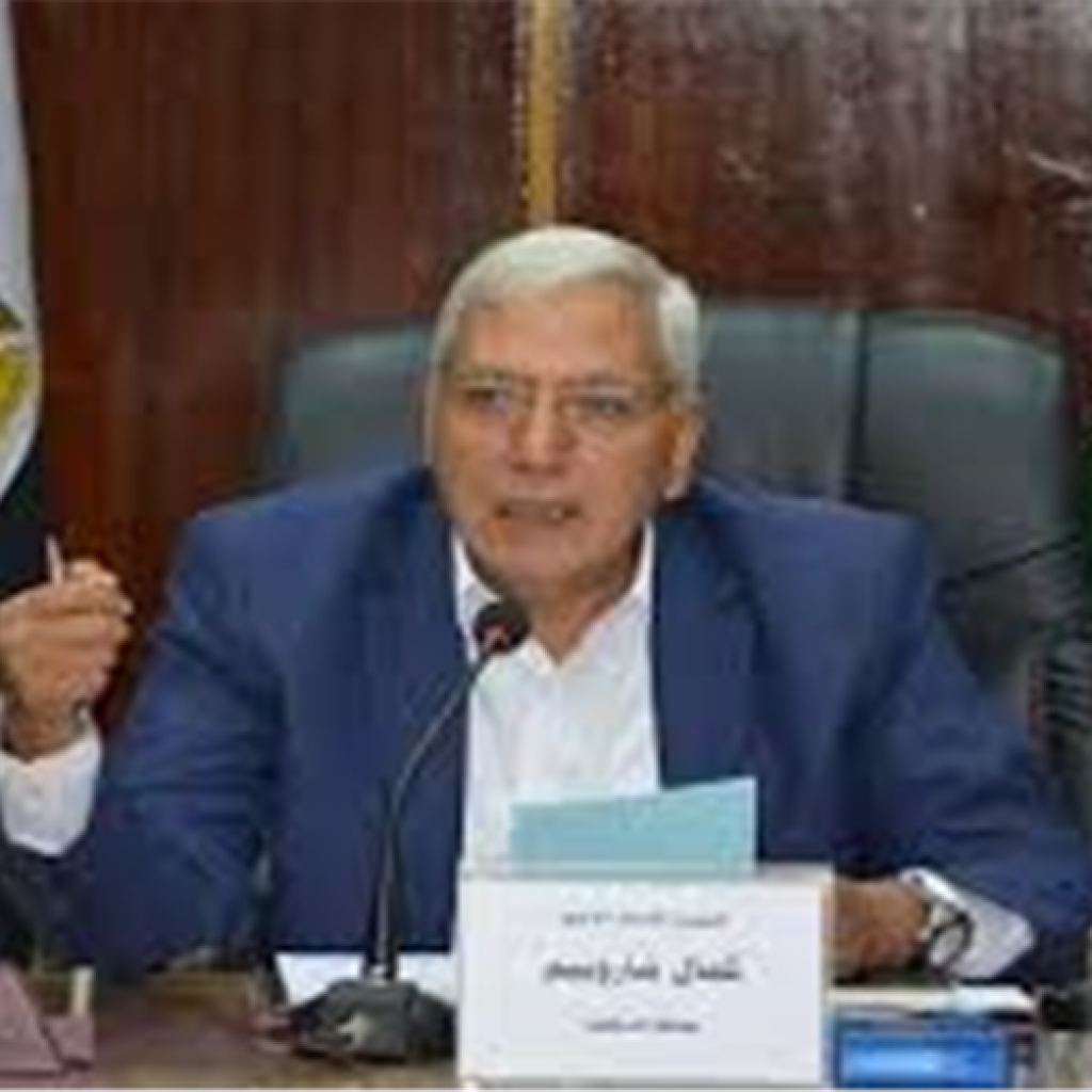 استثمارات سعودية فى الدقهلية تشمل مصنعا للدواء وفندق 5 نجوم
