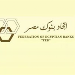 رئيس اتحاد بنوك مصر: «المركزي» أطلق 24 مبادرة خلال جائحة كورونا