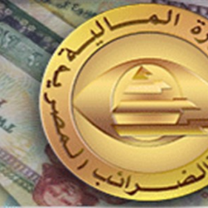رئيس الغرفة الكندية: 5 عناصر ضرورية لتطوير الضرائب المصرية