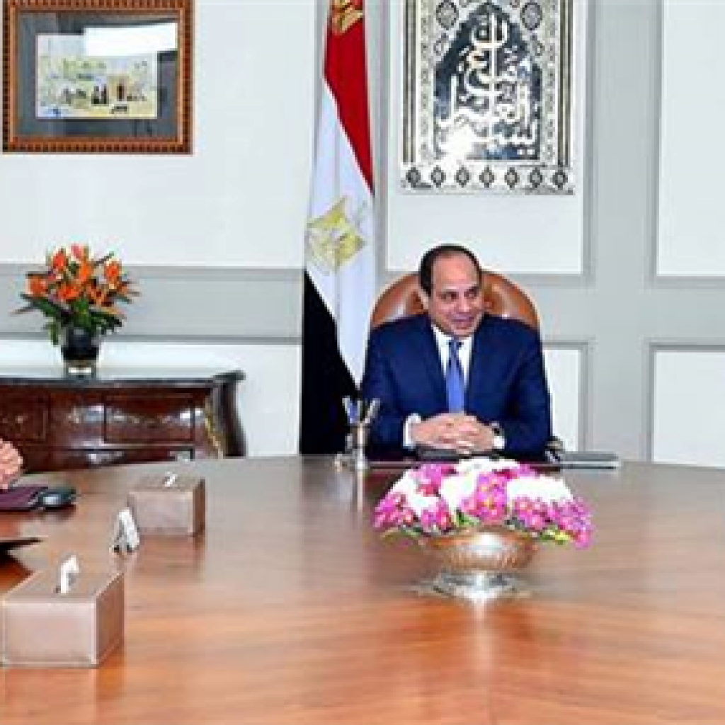 السيسي: مصر تتطلع لتطوير التعاون مع الشركة المنتجة لطائرات الرافال