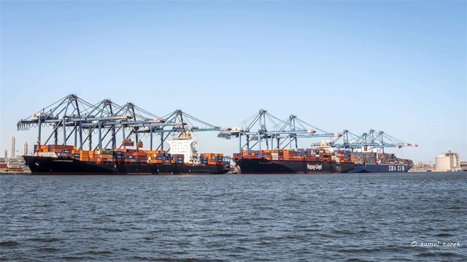 ميناء دمياط يستقبل أكثر من 5 ألاف طن خشب
