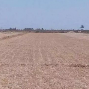 مجلس الوزراء يستعرض قرار «المجتمعات العمرانية» تخصيص قطعتي أرض بنظام البيع بالدولار