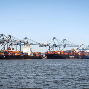 ميناء دمياط يستقبل أكثر من 17 ألف طن قمح