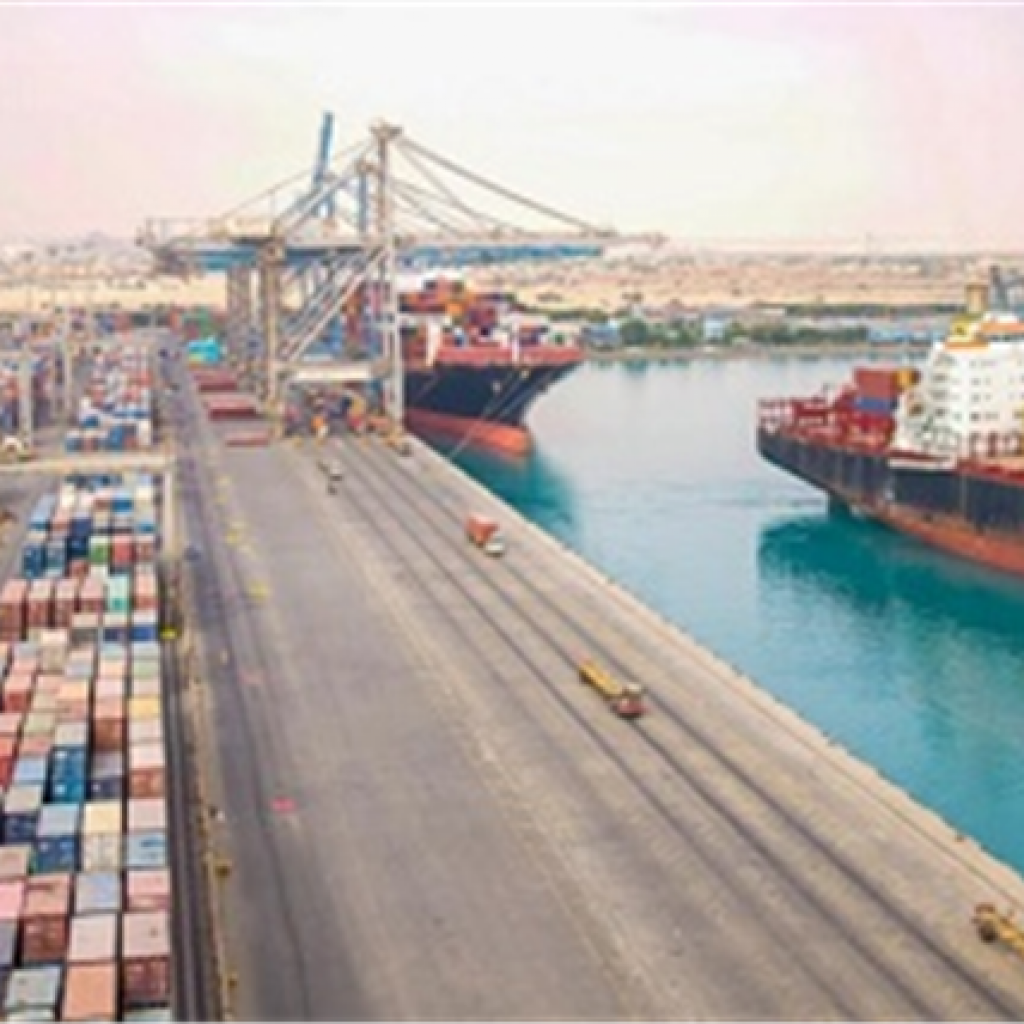 ارتفاع التبادل التجاري بين مصر وجيبوتي إلى 48.01 مليون دولار خلال 2018