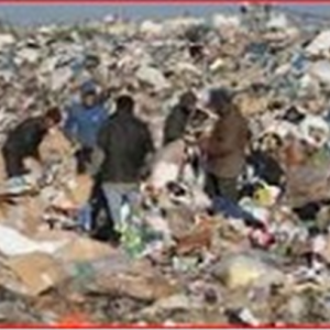 مجلس الوزراء يستقبل 18743 شكوى حول مشكلات القمامة خلال عام