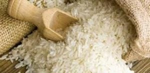 لخفض فاتورة الواردات.. زيادة مساحة زراعة الأرز إلى 1.1 مليون فدان