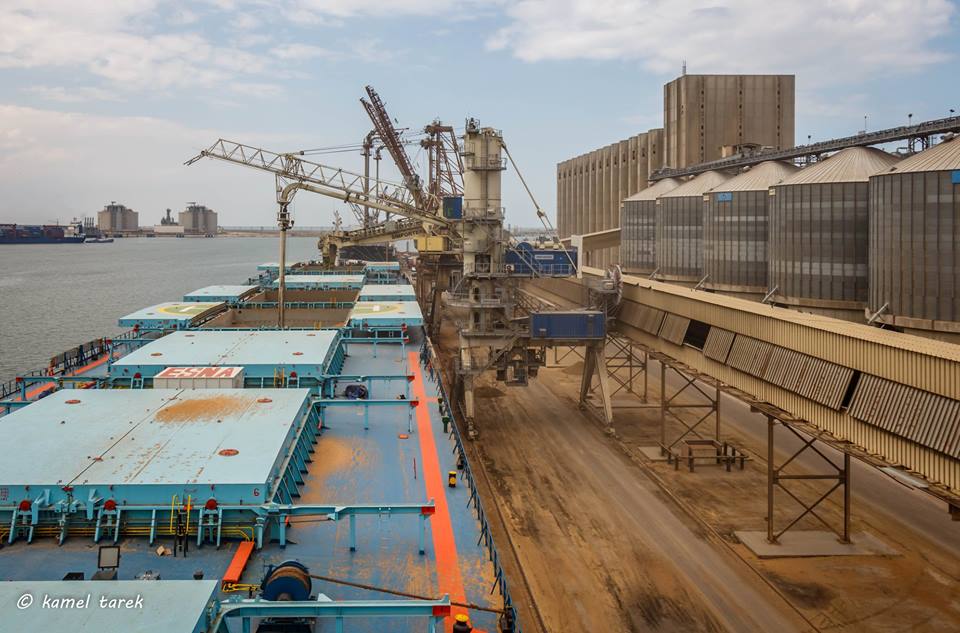 ميناء دمياط يستقبل 6292 طن خشب