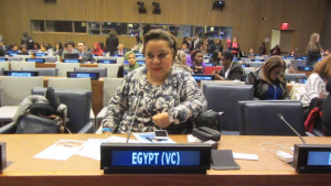 هجرس تمثل مصر في اجتماع أوروبي عربي لدعم حقوق ذوي الإعاقة