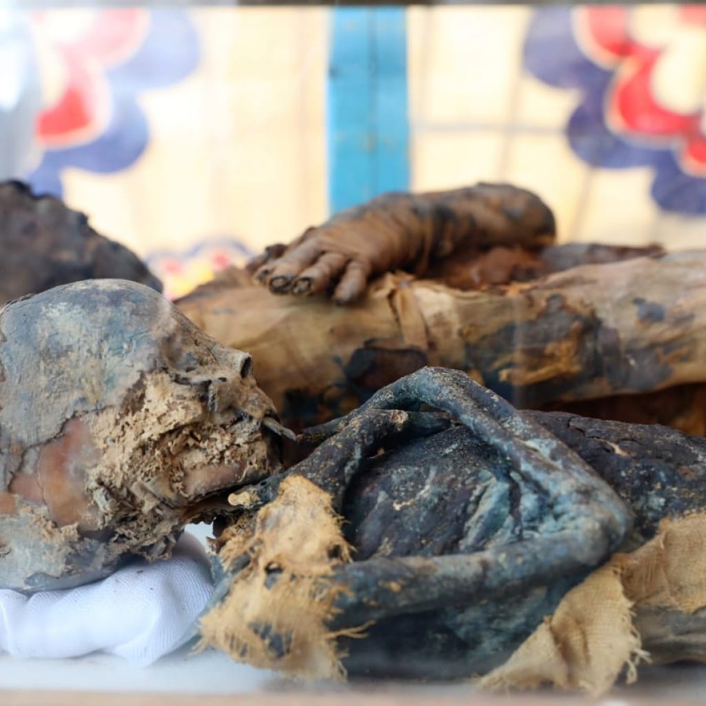 «القومي للحضارة» يستقبل مومياوات ملكية من «المتحف المصري».. الشهر الحالي (صور)