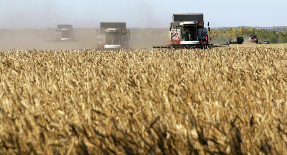 بيان من وزارة الزراعة حول سلامة واردات القمح الروسي بعد «الانفجار النووي»