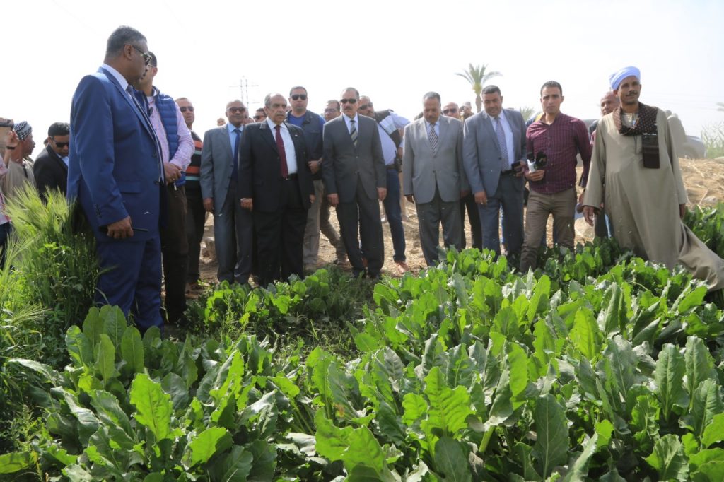 وزير الزراعة من أسيوط: نستهدف تحقيق الاكتفاء الذاتي من الفول