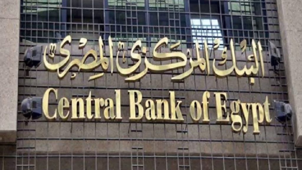استحداث لجنة للاستقرار المالي للدولة بقانون البنوك الجديد