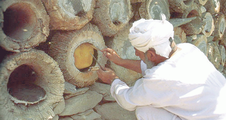 تراجع مرتقب في صادرات عسل النحل