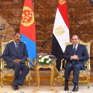 السيسي يبحث مع رئيس إريتريا 5 ملفات بينها مياه النيل والسودان (صور)